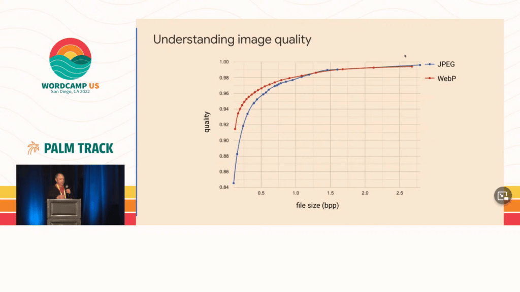 Understanding image quality